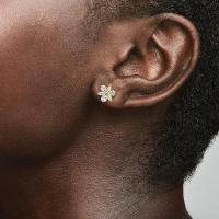 Pandora Timeless Herbarium Cluster Joyas - details 1