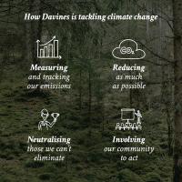 Davines Naturaltech Replumping Conditioner 150 Ml. / Acondicionador profesional que hidrata, rellena y da cuerpo sin apelmazar. Ideal para cabellos finos, deshidratados o con pérdida de elasticidad. - details 6