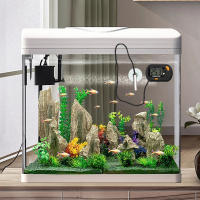 Termómetro Digital Para Acuario Con Ventosa Medidor De Temperatura Rango -50℃ - 70℃ Sensor De Temperatura Para Tanque De Peces - details 5