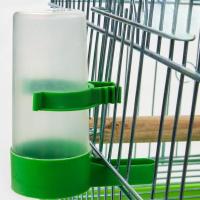 Dispensador De Agua Para Jaulas De Pájaros 1 Pieza Adecuado Para Sparrows Parrots Budgies Cockatiels Y Lovebirds Con Clip - details 2