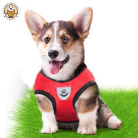 Juego De Correa Para Perros Y Gatos Transpirable Para Paseos En Verano Equipamiento Para Mascotas De Pecho Y Espalda Adecuado Para Perros Pequeños - details 3