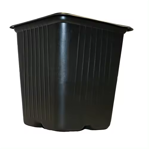 VILMORIN 5 MACETAS CUADRADAS DE PLÁSTICO, 11 cm - 1