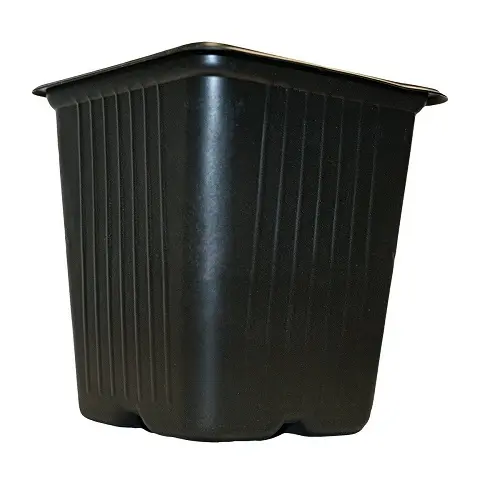 VILMORIN 5 MACETAS CUADRADAS DE PLÁSTICO, 11 cm - 1