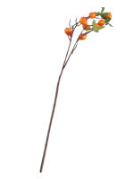 Rama De Pimienta Con Hojas Y 9 Cabezas De Pomegranato Falsas Rojas Y Naranja Para Decoración De Jardín Y Hogar Material De Seda - details 34