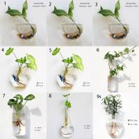 Vaso De Flor De Vidrio Colgante Para Pared Terrario Acuario Contenedor De Flores Y Plantas Decoración Para El Hogar Y Jardín Estilo Moderno - details 1