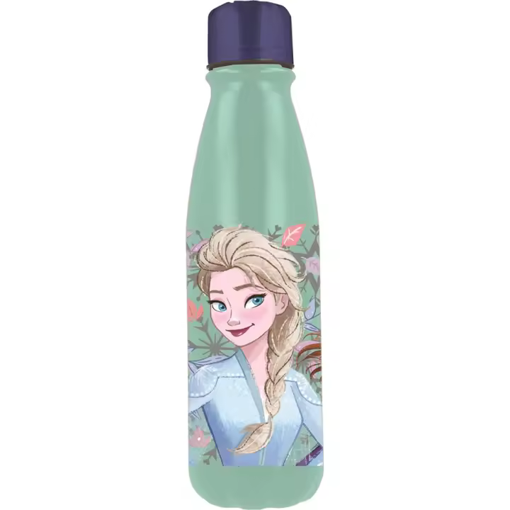 Botella Aluminio Infantil  Frozen Snowy Tale 600 Ml (Stor 81040) - 1
