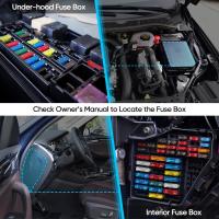 Kit De Fusibles Para Coche 300 Piezas Tamaño Estándar Y Mini Reemplazo Para Automóvil RV Camión Motocicleta Adecuado Para Electrónica De Consumo - details 2