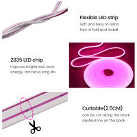 Tira De LED Flexible 12V Neón 2835 120LEDs/M Luz De Cuerda Impermeable Para Exteriores Azul Caliente Rosa Blanco Rojo Amarillo Verde 1M 5M - details 5