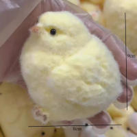 Juguete De Toque Y Color Para Aliviar El Estrés Y La Ansiedad En Niños Y Adultos Forma De Pata De Gato Suave Animal Juguetes De Mímica - details 2