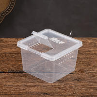 Caja De Alimentación Para Serpiente Reptil Transparente Cages De Habitaculo Portátil Contenedor De Cría Para Lagarto Rana Escorpión Geckó - details 8