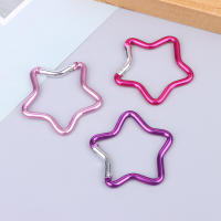 1PCS Anillo De Llaves De Camping Al Aire Libre Forma De Estrella De Cinco Puntos Hebilla De Botella Clip De Cadena De Llaves De Aluminio Carabiner - details 3
