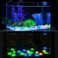 50/100Pcs Piedras Nocturnas Artificiales Con Luminescencia Colorida Para Decoración De Acuarios Jardín De Vidrio Y Escaleras - details 3