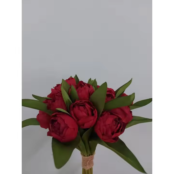 Paquete 16 Tulipanes H25 Rojo - 1
