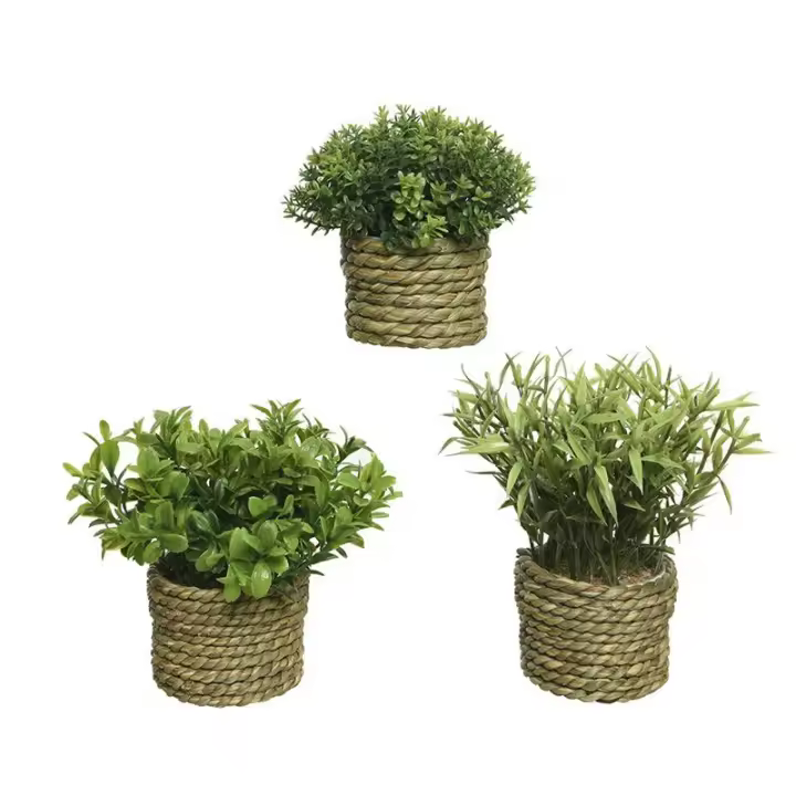 Genérico NO MARCA Planta Artificial de Poliester ø16x13cm - Decoración Resistente - 1
