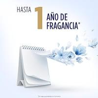 Flor Perfumador para la Ropa con fragancia fresca Azul 36 lavados, Pack 4x720ml (144 lavados) - 6x Explosión de fragancia duradera, Disolución perfecta incluso a baja temperatura, Compatible con todo tipo de ropa y productos de lavado - details 2