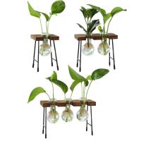 Vaso De Flor De Vidrio Moderno Para Arreglo Floral Y Propagación De Plantas Decoración De Sala De Estar Y Casa Rústica Sin Marca Proveniente De China Continental - details 0