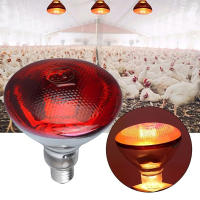 Lámpara De Calor Infrarrojo Para Ponedero 250W Impermeable Antigolpes E27 Para Pollos Pato Cerdo Y Otras Aves De Corral - details 6