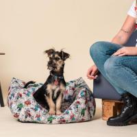 Cama para Perros Marvel - Licencia Oficial  50x35cm Cerdá - details 2