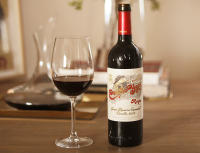 Castillo Ygay Gran Reserva Especial 2010 marques de Murrieta Rioja  - Mejor Vino Mundo - details 1
