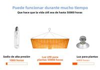 Lámpara De Crecimiento LED De Espectro Completo 300W Para Plantas Uso En Invernadero Interior Iluminación Para Frutas Suculentas Y Agricultura De Sopletes - details 6