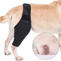 Protector De Rodilla Para Perros Mallas De Apoyo Ajustable Para Recuperación De Lesiones Articulares Y Post-Operación Accesorio Para Mascotas - details 2