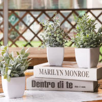Bonsái Artificial De Eucalipto Pequeño Planta Falsa Verde En Maceta Para Decoración De Hogar Jardín Habitación Escritorio - details 2