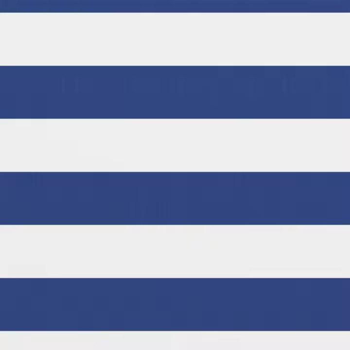 Toldo para Balcón lienzo Oxford Blanco y Azul 75x400 cm - 1