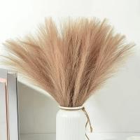 5pcs De Pampas Artificial 42cm Simulación De Pluma Para Bodas Decoración Bohemia Del Hogar Uso En Aniversarios Baños De Natación Cumpleaños Decoración De Casa - details 5