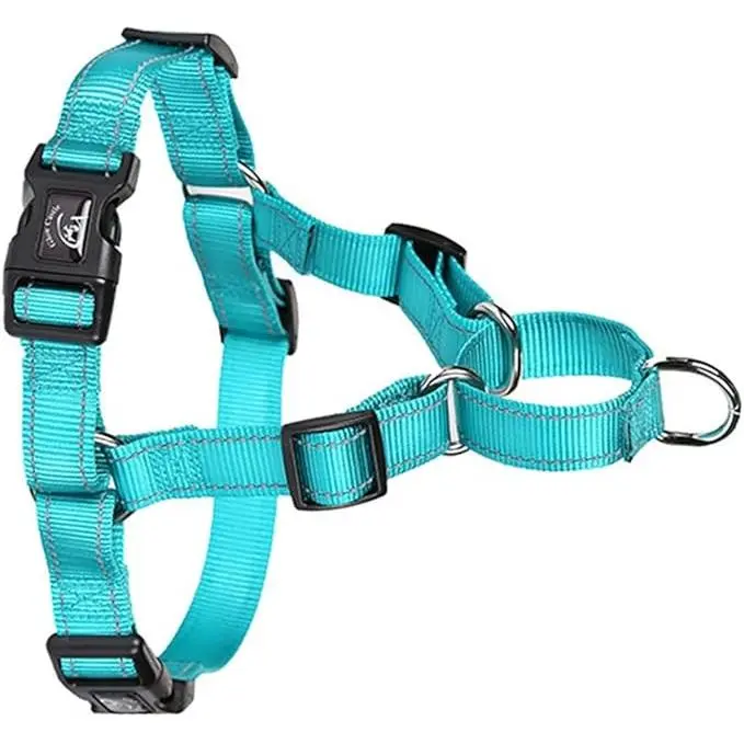 Arnés de Perro de Nylon Chaleco Reflectante Verde para Caminar - Verde Lago, Tamaño Pequeño - 1