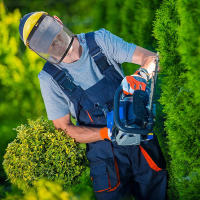 Casco De Seguridad Para Jardín Con Máscara Protectora De Red Completa Para Trimmer De Grama Protección Forestal Y Madera - details 3