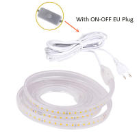 Tira LED Flexible SMD 2835 Impermeable Para Exterior Con Enchufe EU 220V Luz De Techo Para Sala De Estar Cocina Jardín - details 1