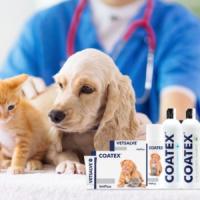 VETPLUS Coatex (Capsulas) - Suplemento nutricional con Omega 3 Omega 6 y Vitaminas A D y E para el Cuidado de la Piel y el pelaje de Perros y Gatos - details 2