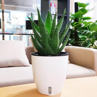Maceta Autoabastecida Fácil De Mantener Para Hierbas Verduras Y Flores Blanco Duradero 180x18x19cm Para Cultivo En Interior Y Exterior - details 1