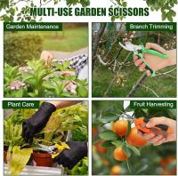 1Pcs Tijeras De Poda Profesional Con Corte Por Pasada Para Jardín Y Árboles Afiladas Tijeras De Mano Secateur Herramienta De Poda Metálica - details 3