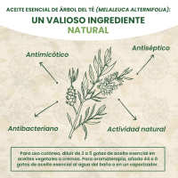 Australian Company Tea Tree Aceite del Árbol del Té, 100% puro - details 1