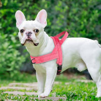Harnés De Nylon Suave Para Perros Pequeños Y Medianos Sin Arrastre Harnés De Piel Para Pitbull Y Perros Chihuahua Pug Ajustable Y Padded - details 13