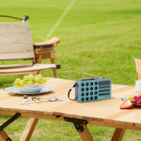 Juguete De Radiodifusión Digital Con Altavoz Bluetooth Compatible Recargable Batería Operada MP3 Player Con Altavoz Integrado - details 2