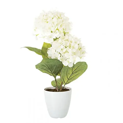Planta Hortensia Blanco Algodon en Maceta de plastico 12 x 44 cm-DAMDAM GO - 1