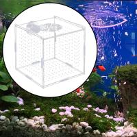 Caja De Aislamiento Para Acuario Multifuncional Portador De Crías De Peces Guppys Y Cangrejos Adecuado Para Peces Agresivos Nuevo Suministro De Acuario - details 1