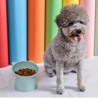 Tazón De Alimentos Para Gato Elevado Antideslizante Anti-Vómito Para Gatos Planos Tazón Inclinado De Alimento Y Agua Para Mascotas - details 10