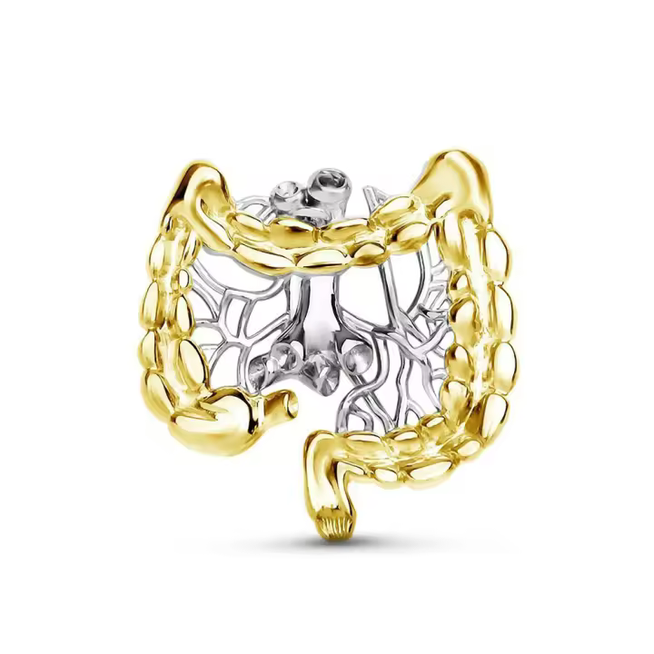 Broche De Anatomía Intestinal Hanreshe Para Médicos Y Enfermeras Regalo De Colección De Joyería Metal Unisex - 1