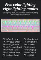 Teclado Mecánico De Juego MUCAI MK61 61 Teclas Switches Rojos Cableado Desmontable RGB Retroiluminado Intercambiable Caliente - details 7