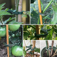 200Pcs Clips Para Fijar Plantes Reutilizables Soporte Para Brotes De Flores Vínculos Vegetales Tomates Suministros De Jardín - details 7