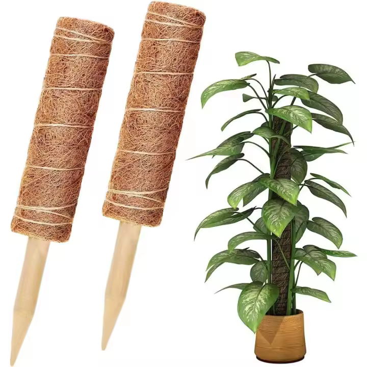 Soporte de apoyo para plantas trepadoras, 2 piezas de postes de coco Totem Plant Support Pole, palillo de musgo de Coco para plantas trepadoras Vines Lianas, - 1