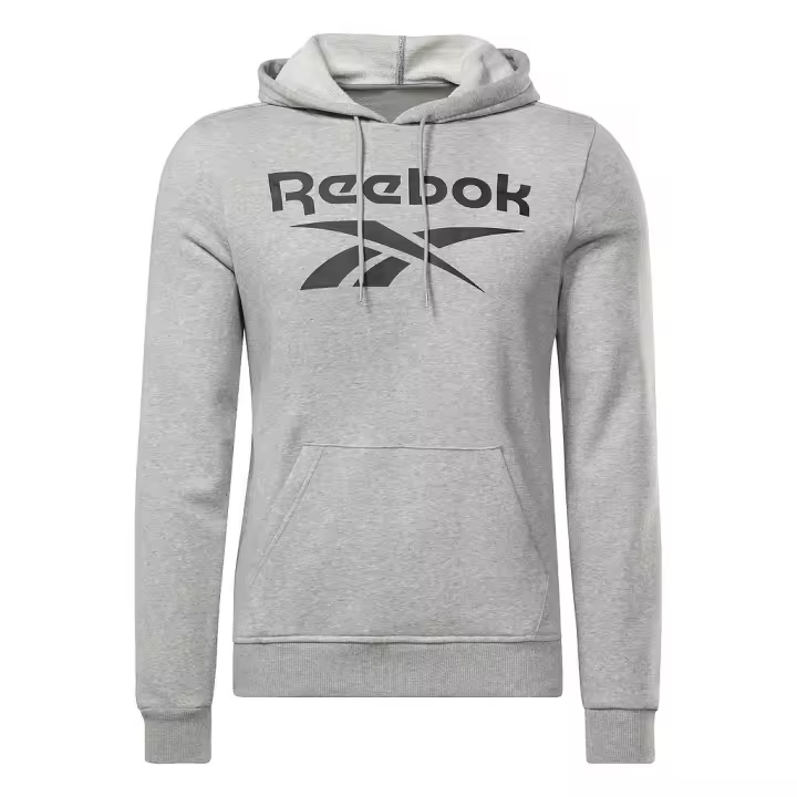 Sudadera REEBOK RI FT BIG LOGO OTH HZ8786 Gris - 1