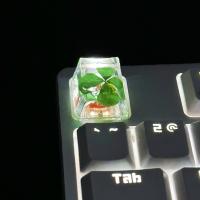 Juego De 4 Piezas De Keycap Para Teclado Mecánico DIY Flor Transparencia Resina Personalidad Cuatro Hojas De Grama - details 1