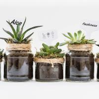 Etiquetas de plantas y bolígrafo para plantas al aire libre, 100 piezas de marcadores y etiquetas de plantas de jardín de plástico blanco para semillas, hierba, 6x10cm, tipo T - details 3