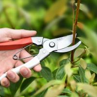 Tijeras De Podar De Acero Inoxidable Premium Para Bonsái/árboles Frutales/ Flores Corte De Rama Manual Plegable Y Duradero - details 0