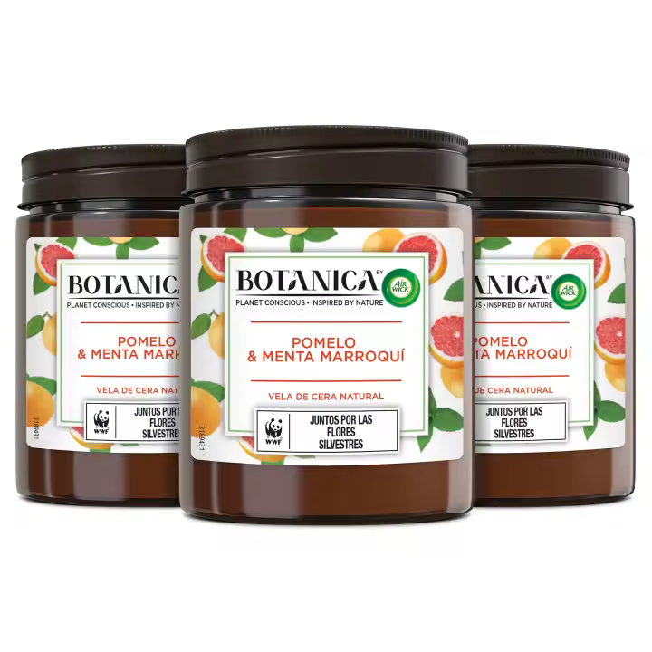 Botanica by Air Wick Pack 3 Velas aromáticas de cera natural, aroma Pomelo y Menta Marroquí - 1