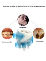 Cepillo De Dientes Eléctrico Inteligente U-Type 360 Grados Cabeza De Silicona Automático Carga USB Impermeable Para Adultos - details 4